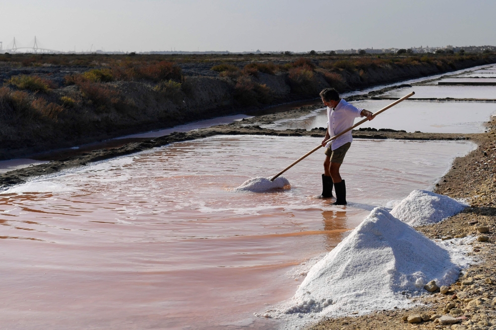 Juan Carlos Sanchez de Lamadrid works at his 