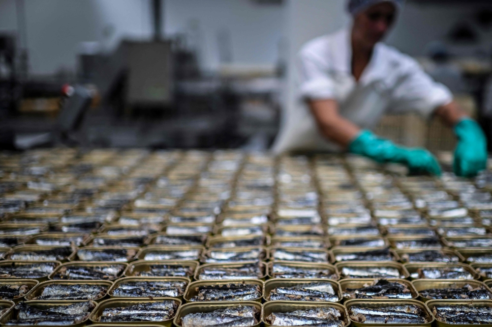 An employee of Thai Union, an international seafood and canned fish company, prepares canned sardines at the company’s canned fish factory in Peniche June 19, 2023. — AFP pic