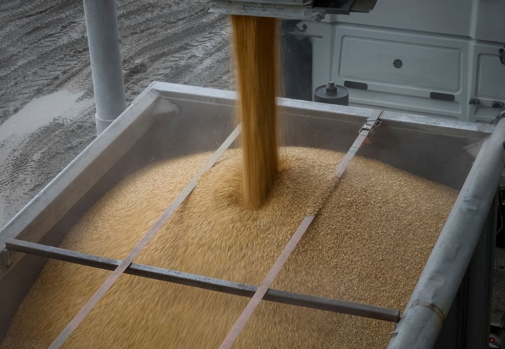 A load of corn is poured into a truck, at a grain storage facility in the village of Bilohiria, Khmelnytskyi region, Ukraine April 19, 2023. — Reuters pic