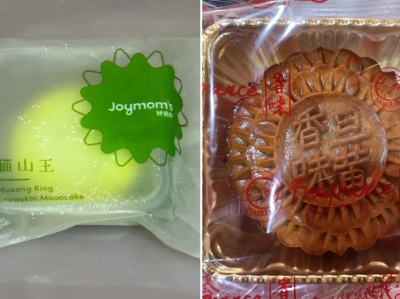 Singapore recalls mooncakes from two Malaysian brands due to excessive levels of bacteria, toxins - Vimarsana News