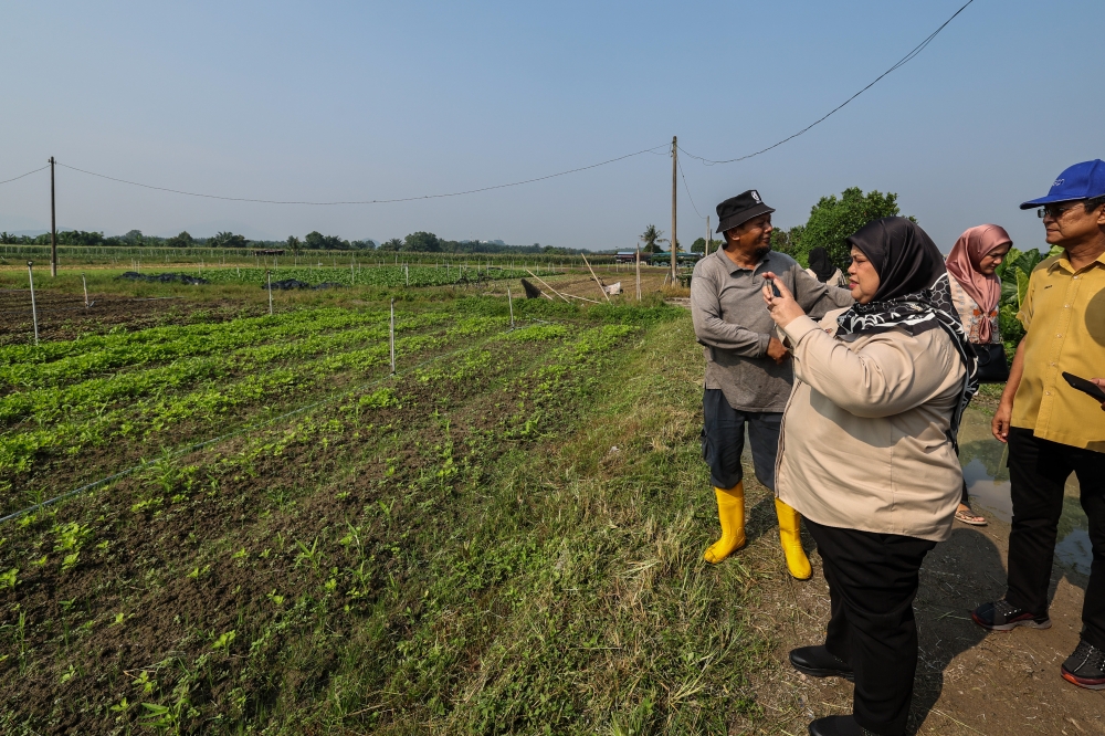 Deputy Minister Rural and Regional Development Datuk Rubiah Wang is seen during a working visit to the Perda Food Valley September 30, 2023. — Bernama pic