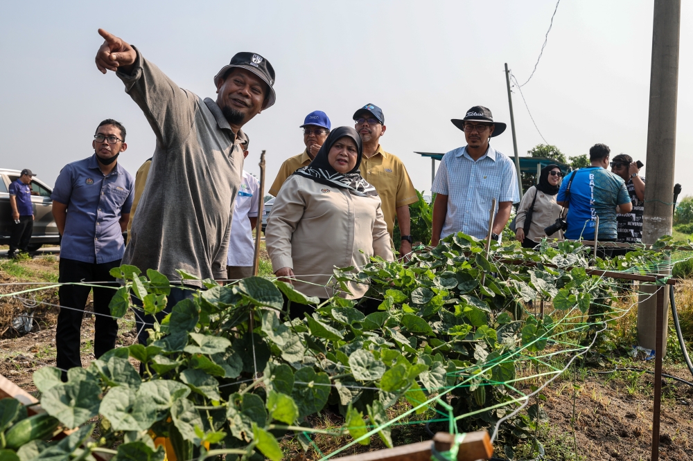 Deputy Minister Rural and Regional Development Datuk Rubiah Wang (3rd left) inspects crops during a working visit to the Perda Food Valley September 30, 2023. — Bernama pic