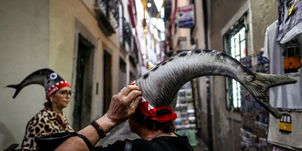 A humilde sardinha: um alimento básico da vida portuguesa