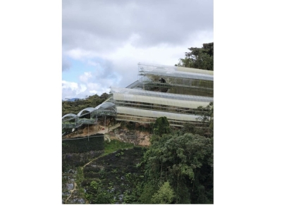 Addressing deforestation of Cameron Highlands requires comprehensive effort — Nur Najwa Hureen Md. Majid - Vimarsana News