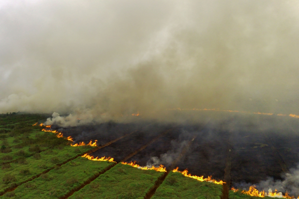 This aerial picture taken on October 2, 2023 shows a peatland fire spreading through a planation in Ogan Ilir, South Sumatra. — AFP pic 