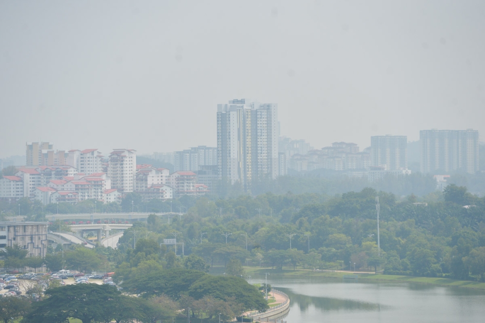 South-east Asian agriculture and forestry ministers have agreed to take collective action to minimise and eventually eliminate crop burning in the region, amid deteriorating air quality and concern about cross-border haze. Picture by Miera Zulyana
