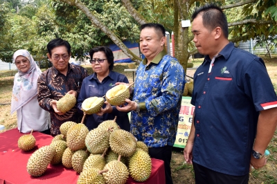 Agriculture Dept awaiting China's nod to export fresh durians from Malaysia - Vimarsana News