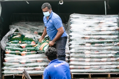 As Malaysians fuss over its local rice price, agroecological researchers say a bigger crisis is brewing - Vimarsana News