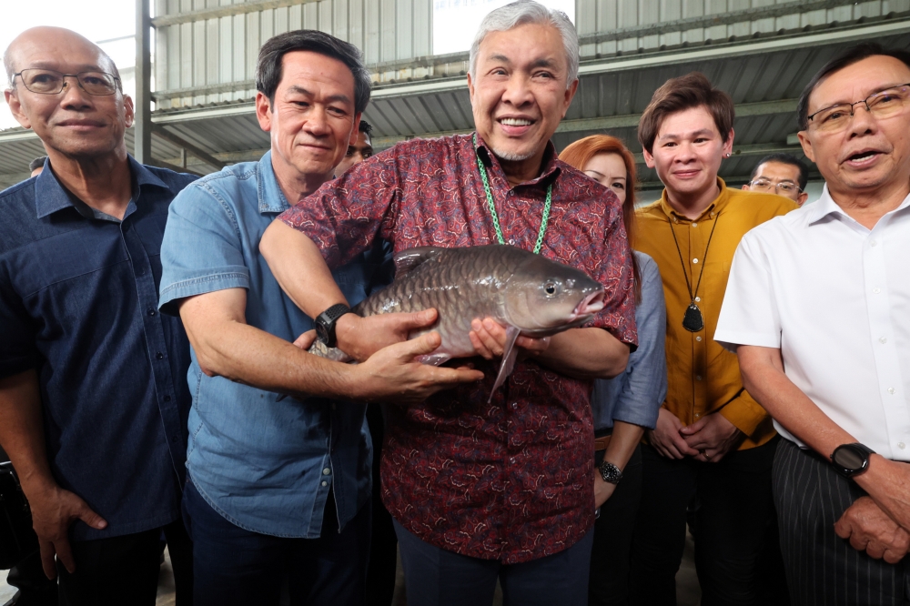 Deputy Prime Minister Datuk Seri Ahmad Zahid Hamidi assisted by BEFR Sdn Bhd chairman Datuk Yong Fook Heng as he handles an adult empurau at the BEFR. With them are (from right) Food Industry, Commodities and Regional Development Minister Datuk Seri Dr Stephen Rundi Utom and BEFR Sdn Bhd CEO Yong Wei Sheng. — Bernama pic 
