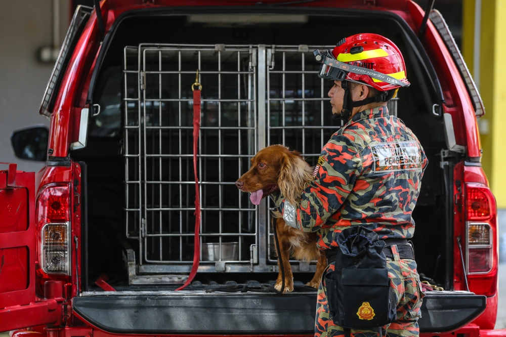 The Fire and Rescue Department’s K9 Dog Detection Unit is seen at the scene to carry out forensic work and determine the cause of a fire that broke out at Wisma Jakel Section 7 in Shah Alam January 2, 2023. — Picture by Yusof Mat Isa