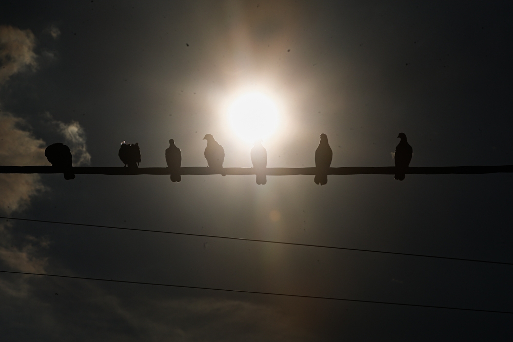 A young army trainee officer, who underwent an infantry course at the Army Combat Training Centre in Kota Tinggi last weekend, has died after he was believed to have suffered symptoms related to heat stroke. — Picture by Farhan Najib