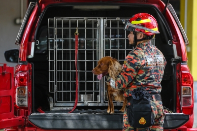 Budget 2024: PM Anwar elevates Fire Dept's canine unit to greater heights - Vimarsana News