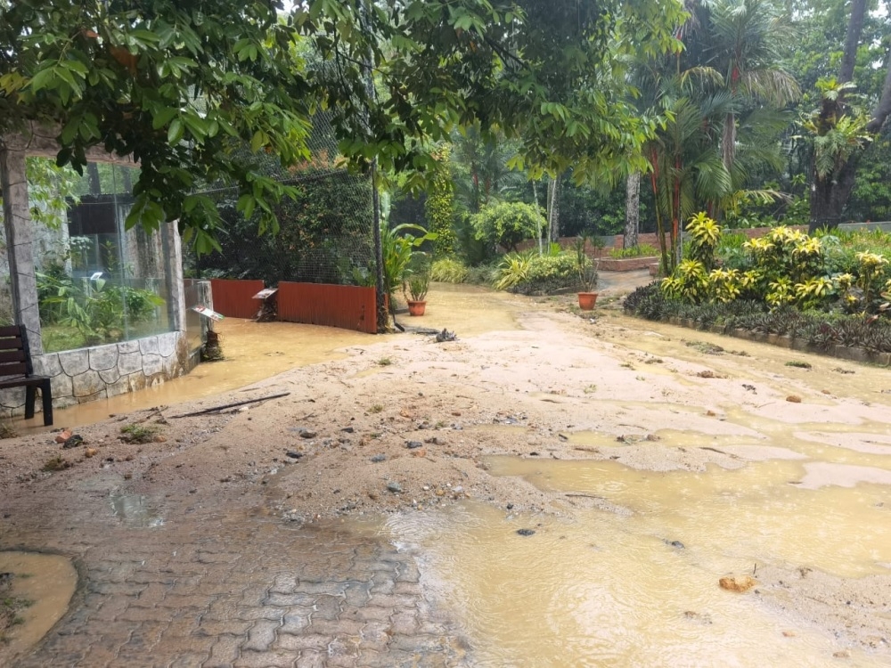 Zoo Negara was reportedly hit by a flash flood yesterday evening and lasted for only over an hour. ― Picture via Facebook/Azlan Azlan