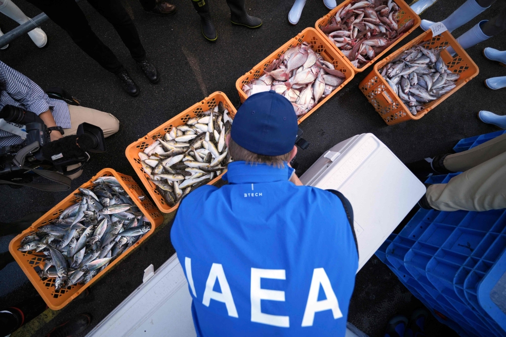 An inspector from the International Atomic Energy Agency (IAEA) taking samples from a fish market at Hisanohama Port in Iwaki. — AFP pic