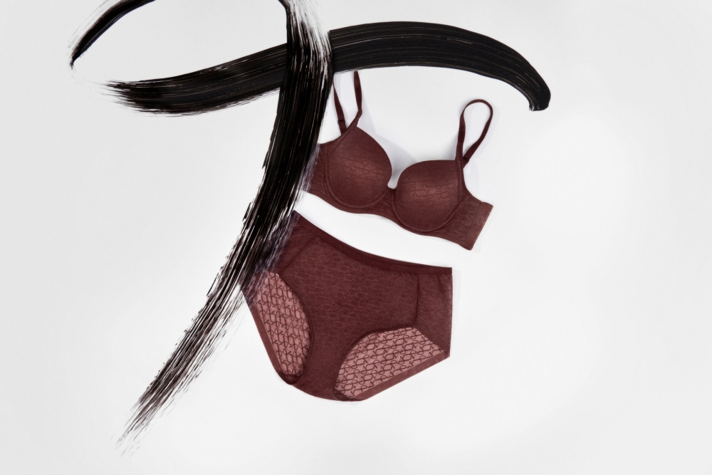 The Signature Sheer hipster and bra. — Picture courtesy of Triumph