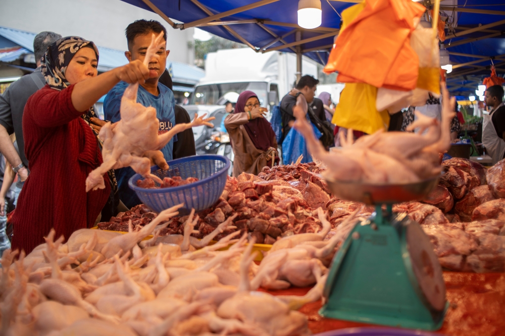 Consumers and businesses may be incentivised to buy locally produced chicken if local producers could set prices at a level that makes their products more competitive with imported poultry, according to an analyst. — Picture by Shafwan Zaidon