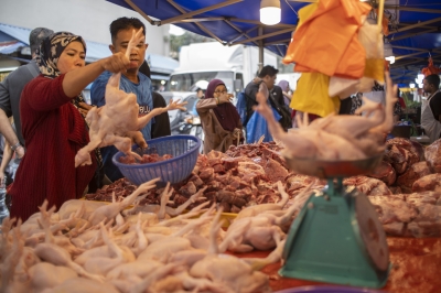 Experts: Chicken subsidy waiver a good thing, may create more jobs, strengthen ringgit - Vimarsana News