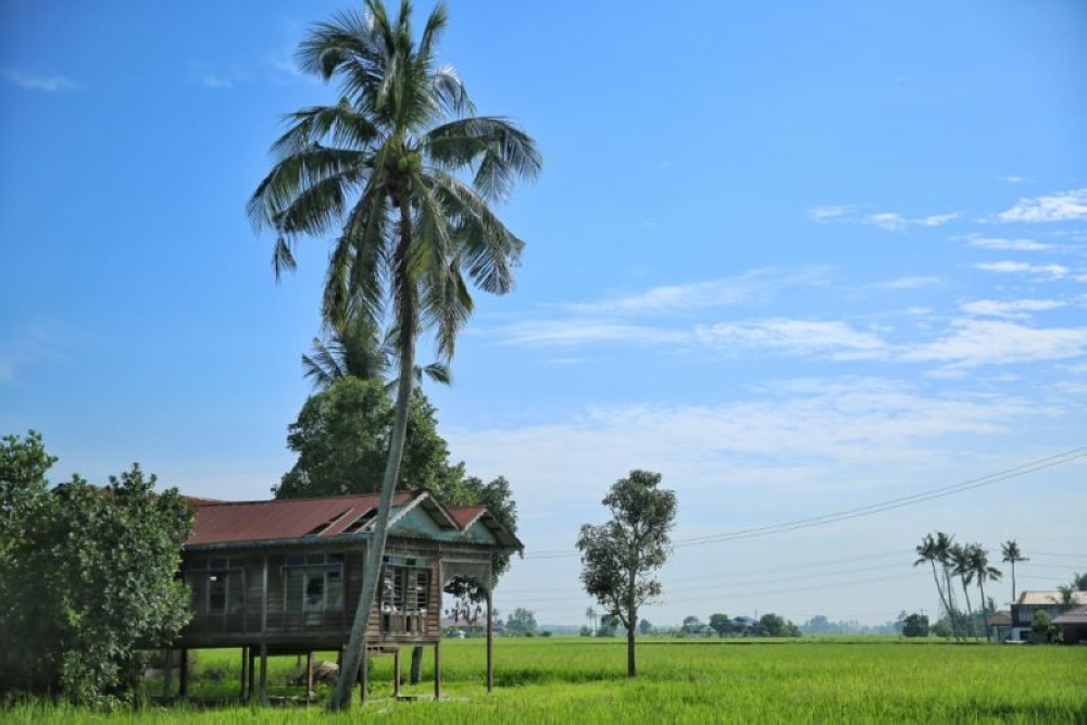 A view of a traditional kampung house in Sungai Besar. Malaysia is gearing up to promote 'rustic' homestay programmes in rural areas featuring its traditional cultures. ― File picture by Saw Siow Feng