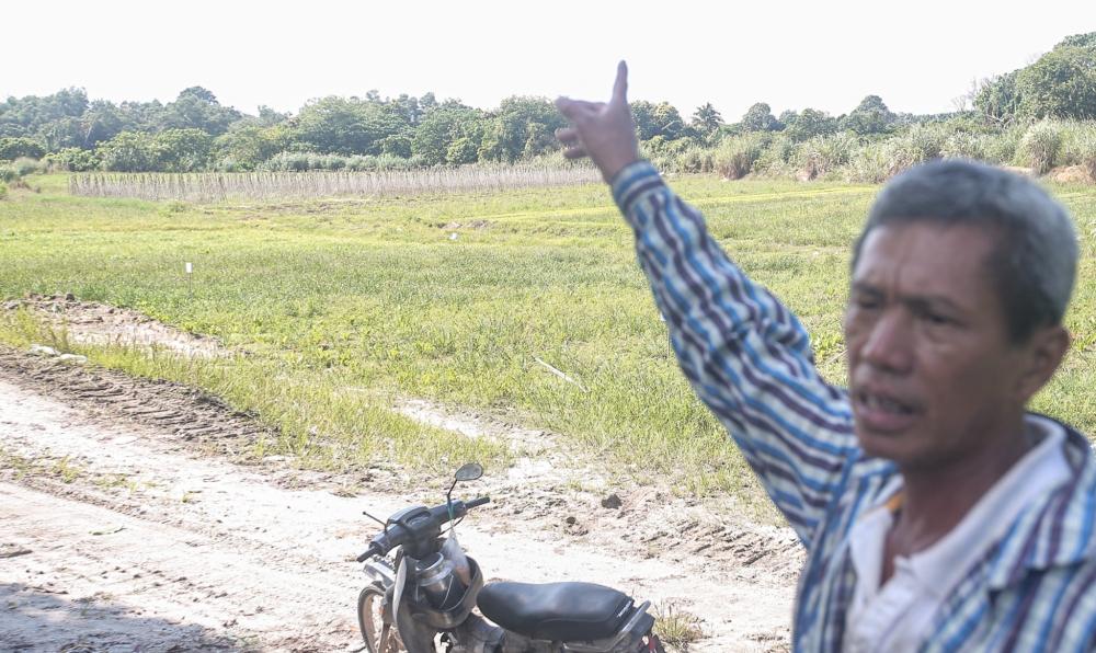 Khoo Choong Hing, 49, who has been farming choy sum, peanuts, spinach, and cucumbers, alleged the PTG officers drove over his crops with bulldozer and ignored pleas for them to stop. — Picture by Farhan Najib