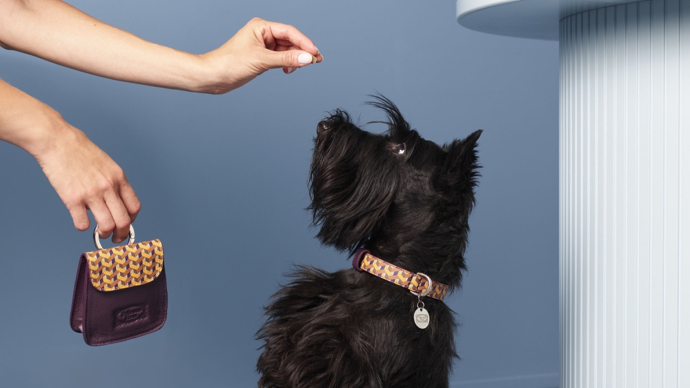 Italian furniture maker Poltrona Frau has introduced its own Pet Collection.— Picture courtesy of Poltrona Frau