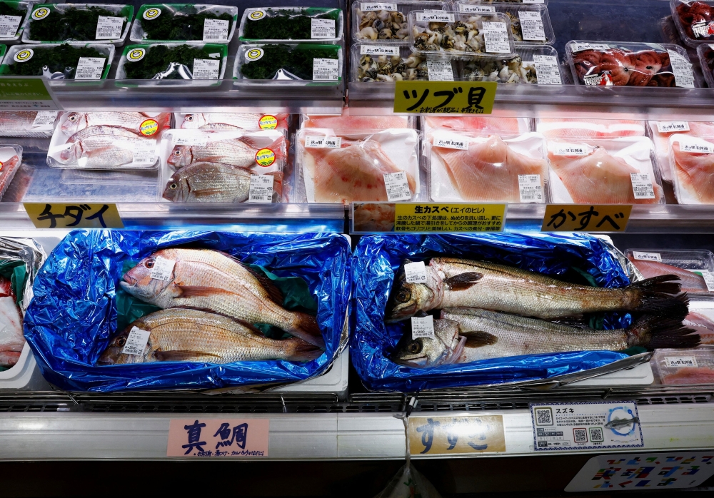 A view of locally caught seafood at the Hamanoeki Fish Market and Food Court in Soma, Fukushima Prefecture August 31, 2023. — Reuters pic