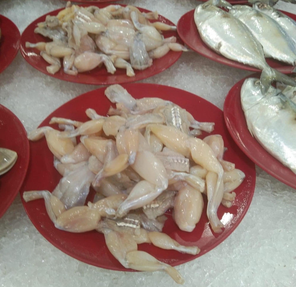 Images of the frog meat along with seafood were shared on social media. — Image from X/MalaysianFoods