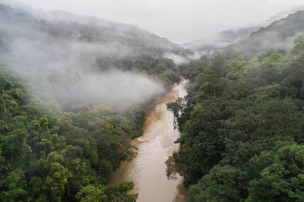 Our environmental deficit is growing, and we are seeing the consequences manifested in natural disasters. — Picture courtesy of Mazidi Abd Ghani:WWF-Malaysia