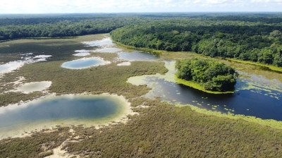 Reclaiming land stolen in heart of Guatemalan reserve - Vimarsana News