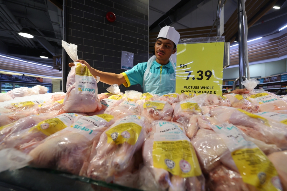 In a statement, MyCC has noted chicken supply in the market remains consistent, with prices ranging from RM6.49 to RM11.00 per kilogramme (kg) for the first two days. — Bernama pic 