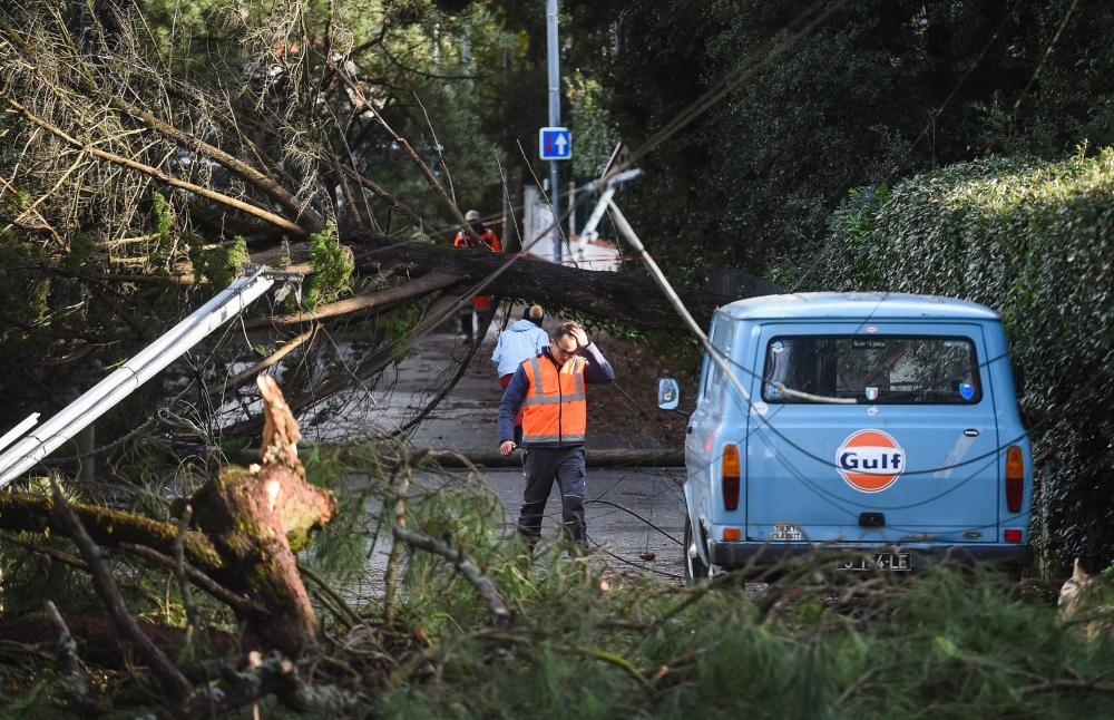 An employee walks in a street where tree pines felt in La Baule-les-Pins, a city district  of La Baule-Escoublac, western France, on November 2, 2023, as the storm Ciaran hits the region. — AFP pic