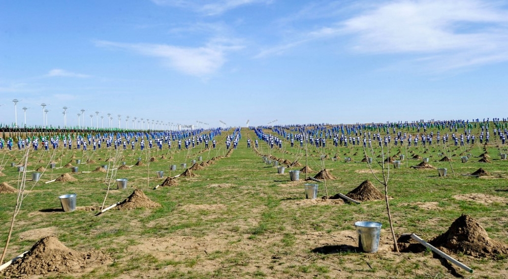 Turkmen citizens take part in a mass tree-planting ceremony marking Nowruz, or the new year, outside Ashgabat on March 21, 2018. Water-scarce Turkmenistan said on November 6, 2023 it had planted almost half a million trees in a nationwide ‘green campaign