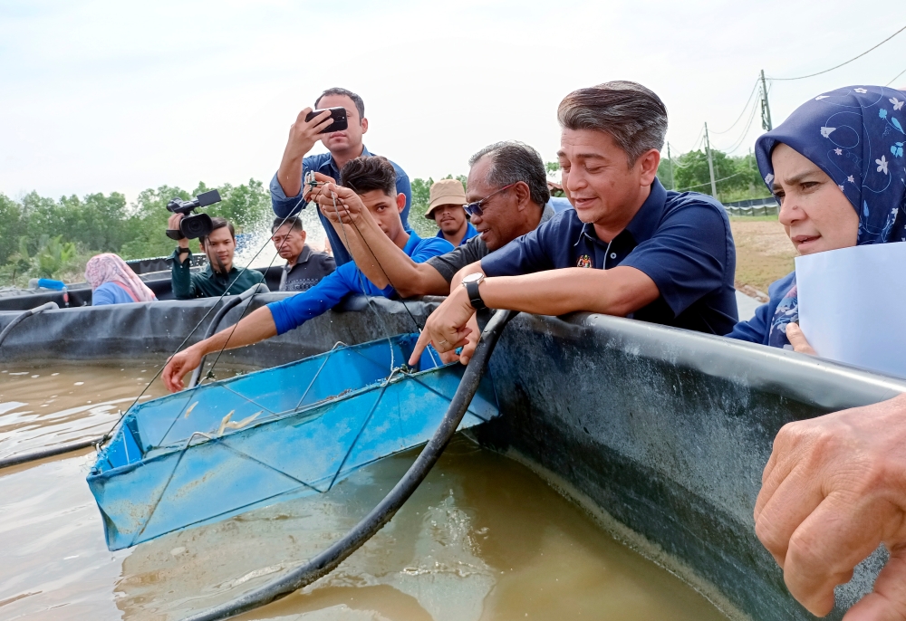 LKIM chairman Muhammad Faiz Fadzil said the aim was to enhance the capacity of aquaculture to become a source of protein for the country and also support food security programmes. — Bernama pic