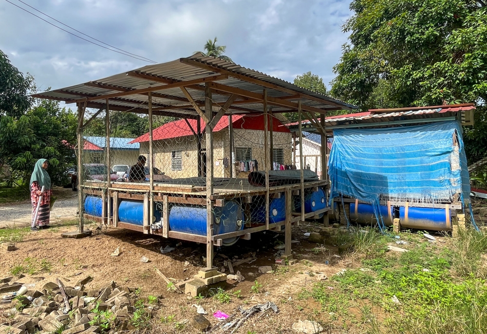 Residents of Kampung Limau Kasturi here have taken the initiative to repair over 20 raft houses in the village in preparation for the monsoon season, which is expected to start tomorrow. — Bernama pic