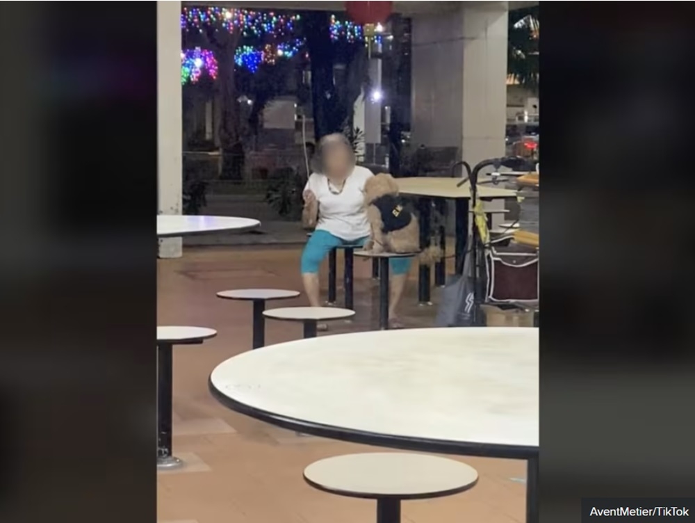 A screengrab showing the woman allegedly hitting the dog at Pek Kio Market and Food Centre in Singapore. — Picture via TikTok/AventMetier