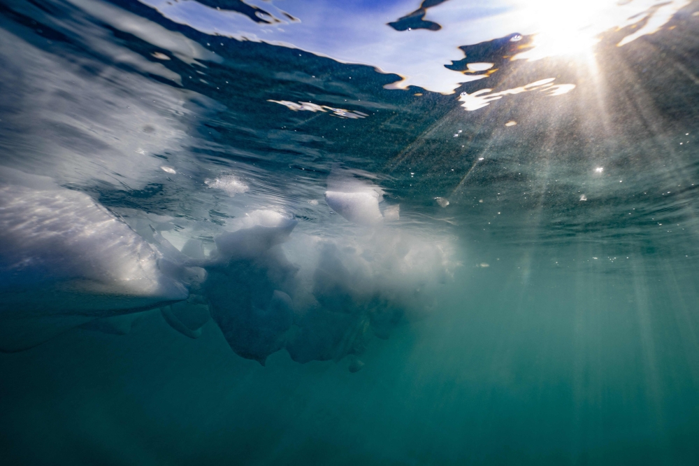This underwater photograph taken on August 16, 2023, shows fragments of a melting iceberg due to unusually high temperatures in Scoresby Fjord, Greenland. — AFP pic