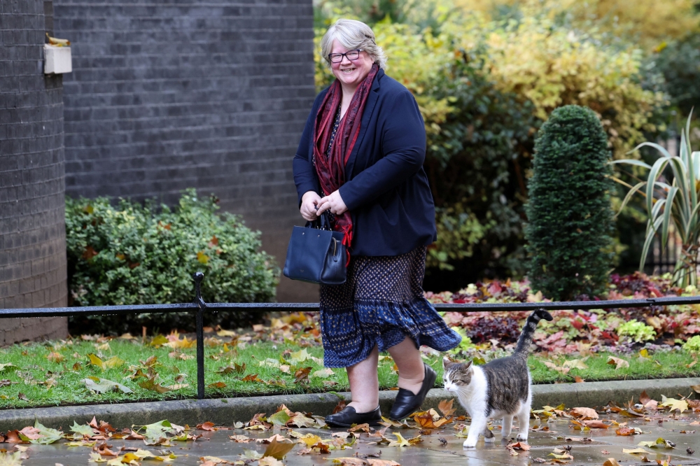 Britain's Environment Secretary Therese Coffey has held several ministerial jobs including health minister and work and pensions minister, and also served as deputy prime minister under Sunak’s predecessor Liz Truss. — Reuters pic