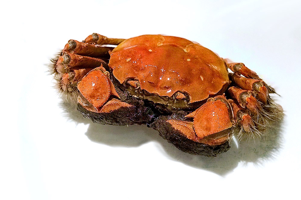It’s time to indulge in hairy crabs again! – Pictures by CK Lim