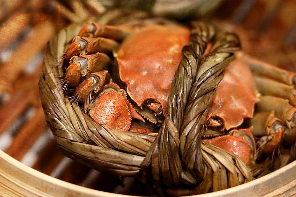 A hairy crab tied in twine, ready for steaming.
