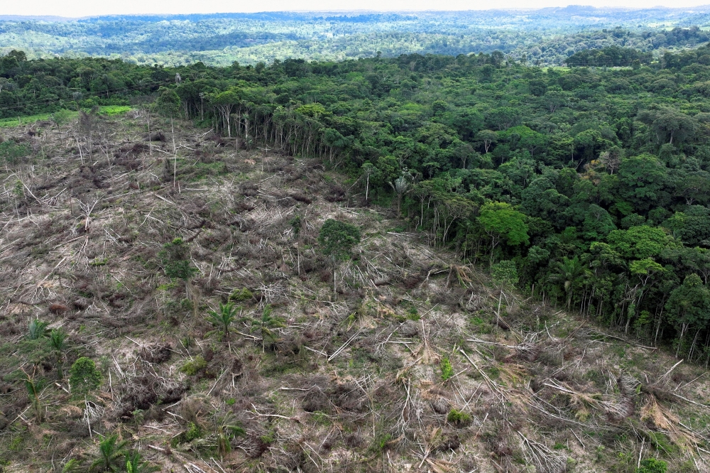 An aerial view shows a deforested area during an operation to combat deforestation near Uruara, Para State, Brazil January 21, 2023. — Reuters pic
