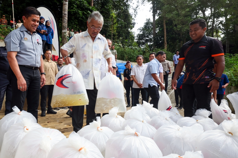 Yang di-Pertuan Agong Al-Sultan Abdullah Ri’ayatuddin Al-Mustafa Billah Shah releases fish fry into the Kincin River in Rompin. — Bernama pic