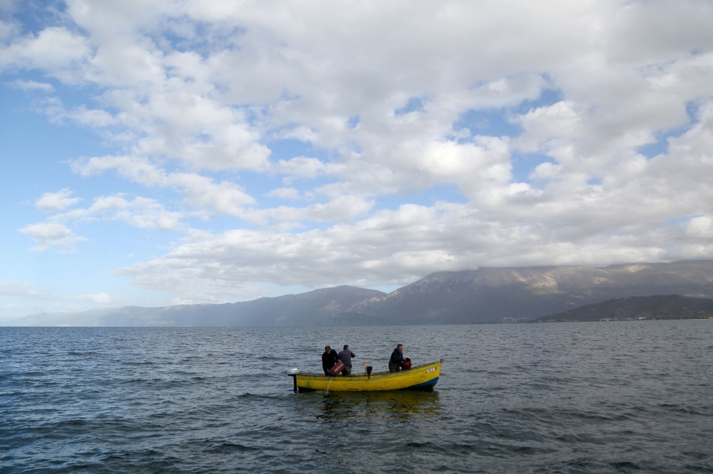 Technicians and fishermen release Ohrid trout ‘Koran’ fingerlings back into the lake Ohrid in  Albania’s Pogradec on November 6, 2023. — AFP pic 