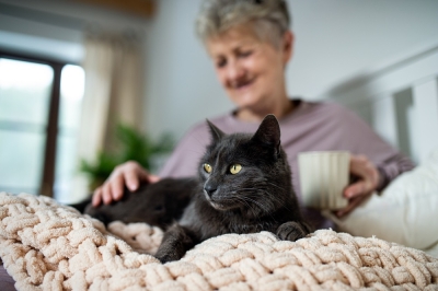Could pets be an anti-aging ally?