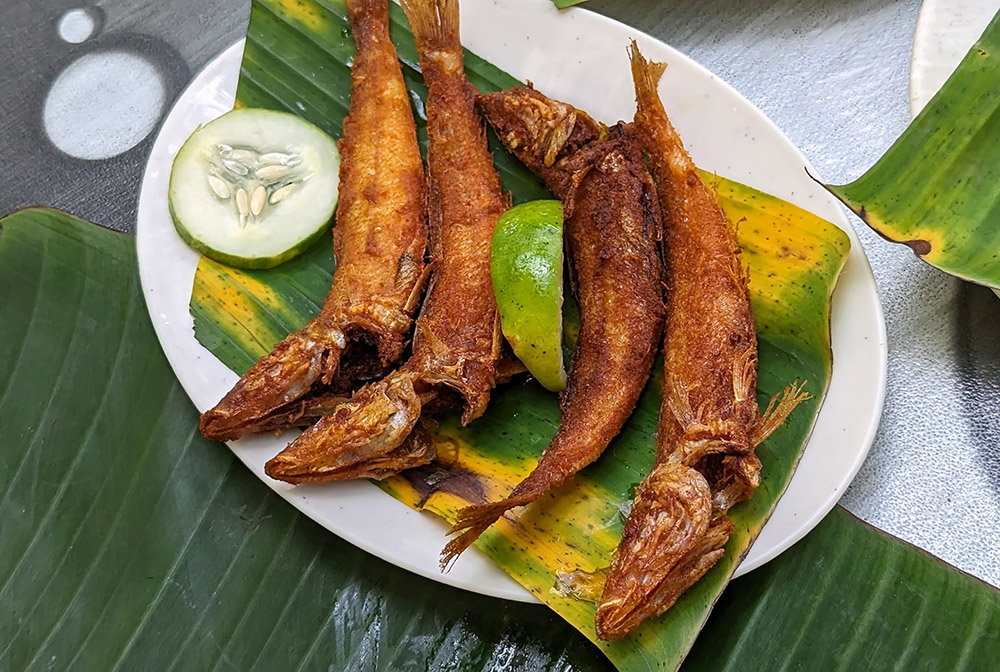 Fried 'ikan bulus', also known as northern whiting.