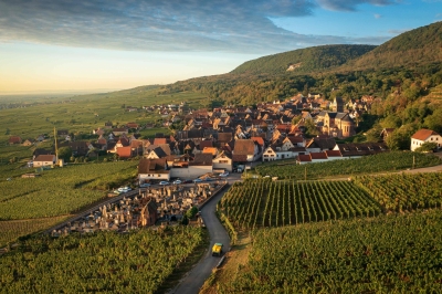 Long and wine-ing road: Alsace celebrates its ‘Route des vins’