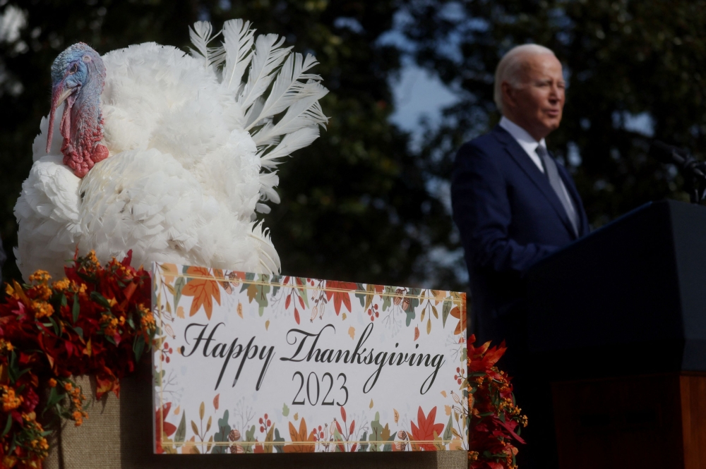 President Joe Biden pardoned two enormous white-plumed turkeys from Minnesota yesterday, granting Liberty and Bell freedom from Thanksgiving dinner tables as Americans prepared for their annual feasts. — Reuters pic