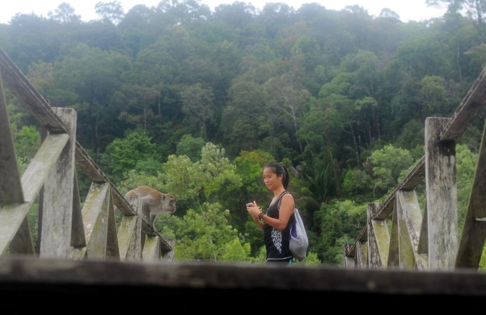 A tourist enjoying the scenery at the Bako National Park in Sarawak. State Tourism, Creative Industry and Performing Arts Minister Datuk Seri Abdul Karim Rahman Hamzah said Sarawak recorded a total of 3.18 million visitors who generated RM7.6 billion in revenue for the first 10 months of this year alone. — Bernama pic