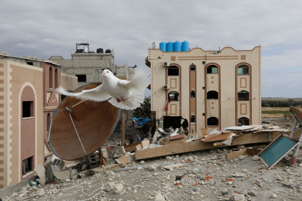 A dove flies over the remains of a house destroyed by Israeli strikes during the conflict, amid a temporary truce between Israel and the Palestinian Islamist group Hamas, in Khan Younis in the southern Gaza Strip November 28, 2023. — Reuters pic