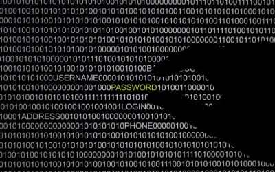 Commissioner: Mandatory for data processing companies to register with Personal Data Protection office - Vimarsana News