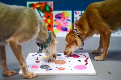 Art for bark’s sake: stray dogs take up painting for UK charity