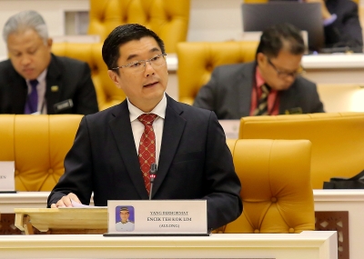 Perak raises permanent forest reserve by over 2,000 hectares, says exco - Vimarsana News